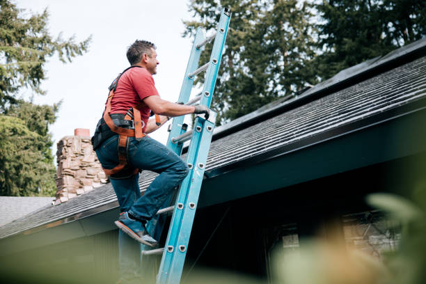 Best Rubber Roofing (EPDM, TPO)  in New Castle, DE
